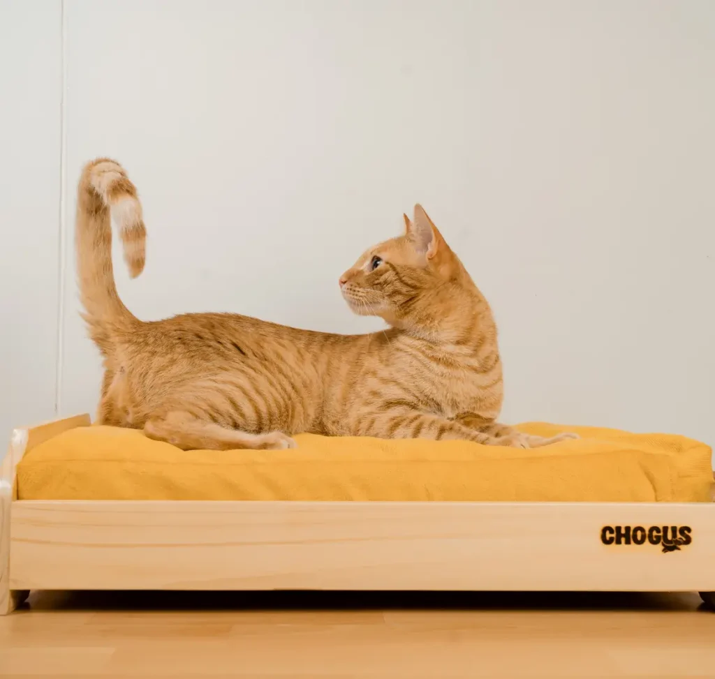 Cama Natural Talla S para Perros o Gatos