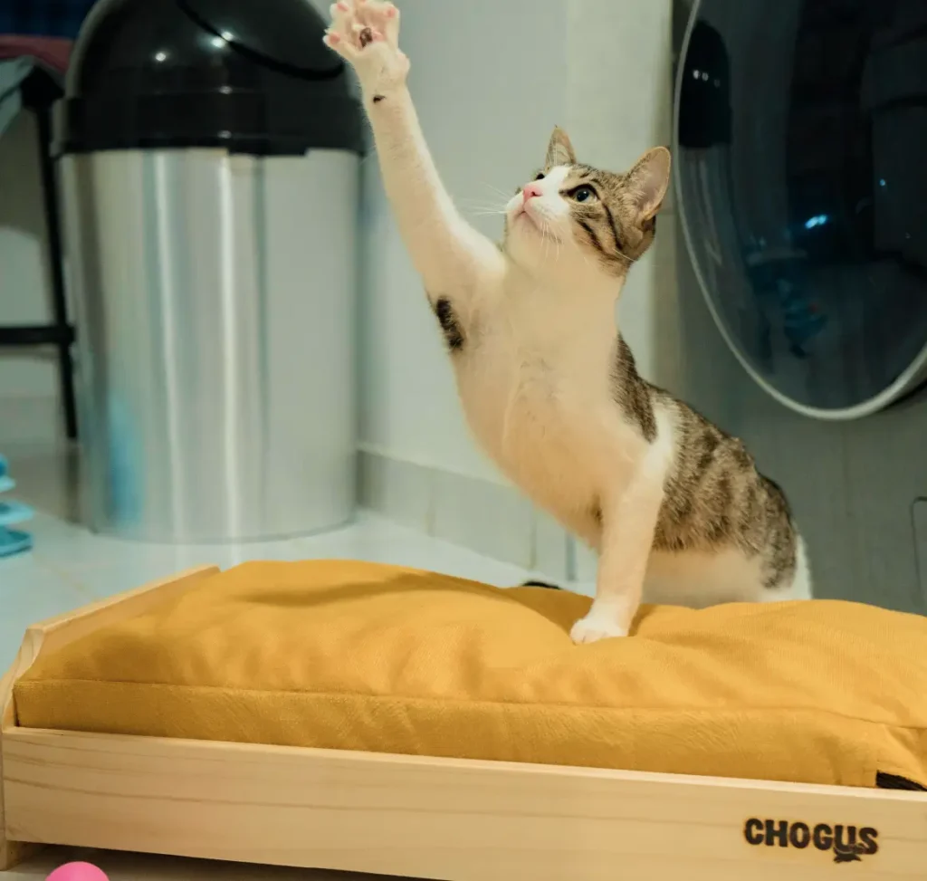 Cama Natural Talla S para Perros o Gatos