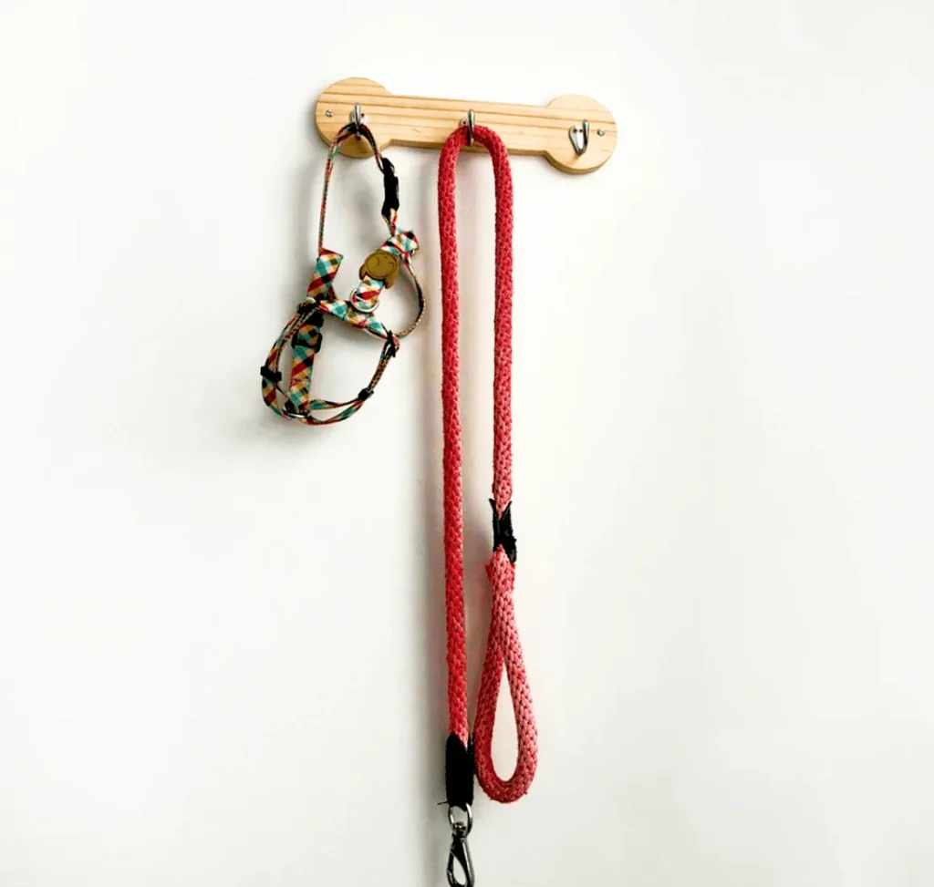 Organizador de correas