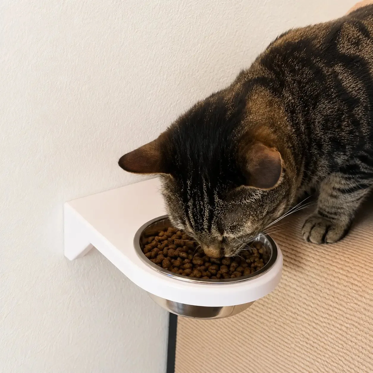Comedero Flotante de Pared para Gatos